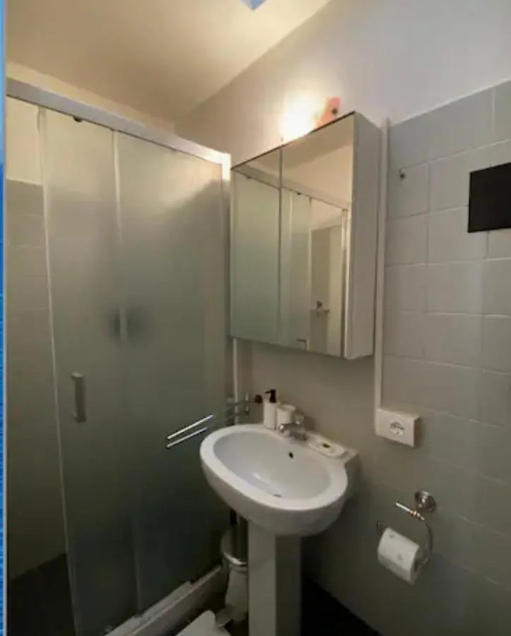 Santa Maria Del Giglio Apartment 威尼斯 意大利
